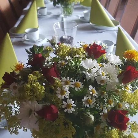 Zwei Linden - Links Der Elbe - Niedersachsen באליה